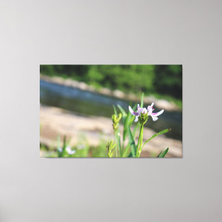 Blume unterstützt von River Canvas Print Leinwanddruck