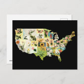 BLUME USA POSTKARTE (Vorne/Hinten)