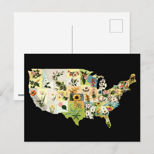 BLUME USA POSTKARTE (Vorne/Hinten)