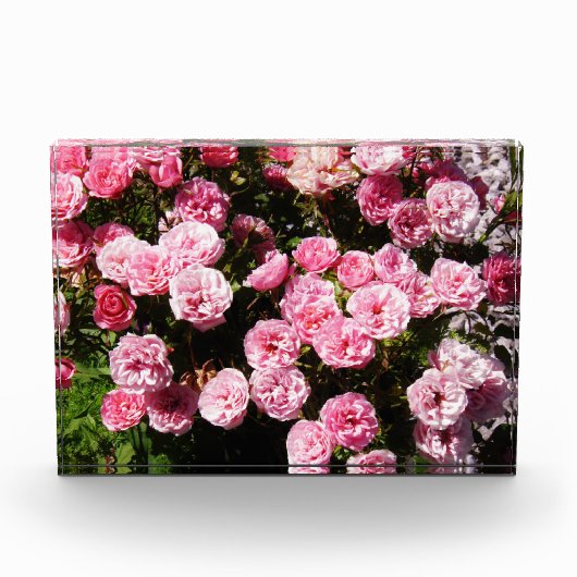 Blume Ver 1,0 Fotoblock (Vorderseite)