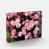 Blume Ver 1,0 Fotoblock (Links)