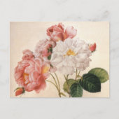 Blume Vintage Rose Postkarte (Vorderseite)