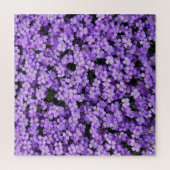 Blume - Violette Puzzle (Vertikal)