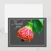 Blume von Ahorn, grauer Hintergrund Vielen Dank Postkarte (Vorne/Hinten)