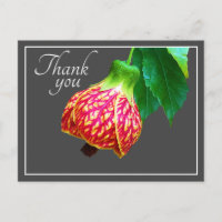 Blume von Ahorn, grauer Hintergrund Vielen Dank