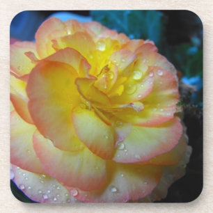 Blume von Begonia Untersetzer