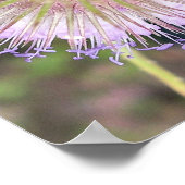 BLUME VON BIE UND TEASEL POSTER (Ecke)