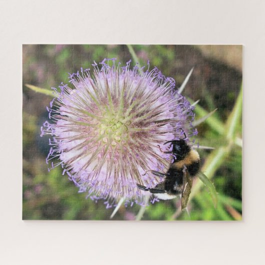 BLUME VON BIE UND TEASEL PUZZLE (Horizontal)
