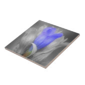 Blume von blauen Andern in Schwarz und Weiß Fliese (Seite)