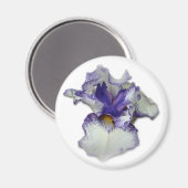 Blume von Blauer und Weißbär Magnet (Vorderseite/Rückseite)