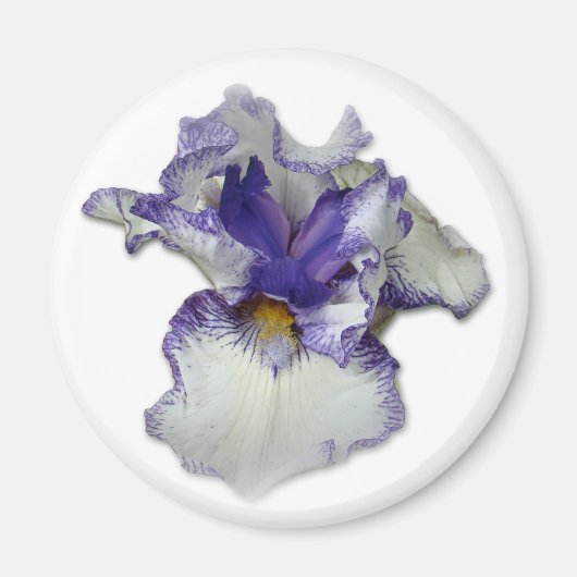 Blume von Blauer und Weißbär Magnet (Vorne)