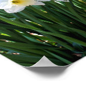 Blume von Brook Poster (Ecke)