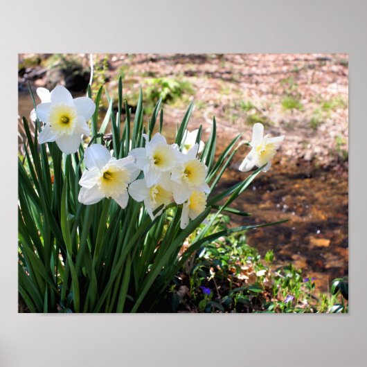 Blume von Brook Poster (Vorne)