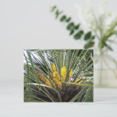 Blume von Duftgelbpalmen Postkarte (Stehend Vorderseite)