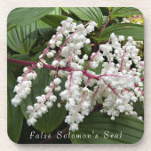 Blume von False Solomon im Siegel Getränkeuntersetzer (Vorderseite)