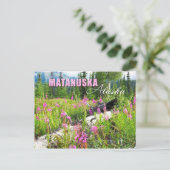 Blume von Feueralgen im Matanuska-Tal, Alaska Postkarte (Stehend Vorderseite)