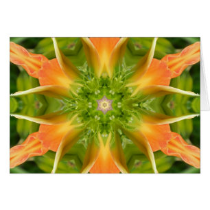 Blume von FriedensMandala