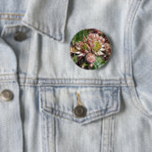 Blume von Hennen und Küken (Sempervivum) Button (Beispiel)