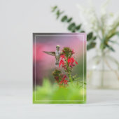 Blume von Humingvogel und Kardinal Postkarte (Stehend Vorderseite)