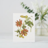 Blume von Leidenschaft Postkarte (Stehend Vorderseite)