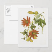 Blume von Leidenschaft Postkarte (Vorne/Hinten)
