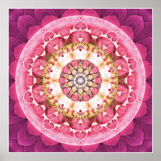 Blume von Life Mandala 5 Poster (Vorne)