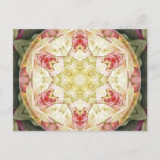 Blume von Life Mandala 6 Karten (Vorderseite)