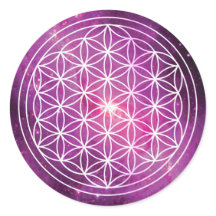 Blume von LIfe Pink Galaxy