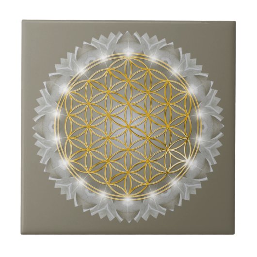BLUME von LIFE - Sacred Geometrie Light 1 Fliese (Vorderseite)