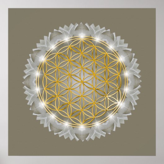 BLUME von LIFE - Sacred Geometrie Light 1 Poster (Vorne)