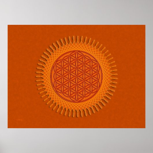 Blume von Live/Sonnengestaltung Poster (Vorne)