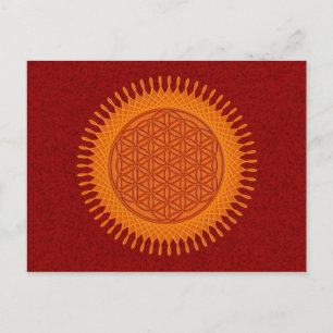 Blume von Live / sonniges Design Postkarte