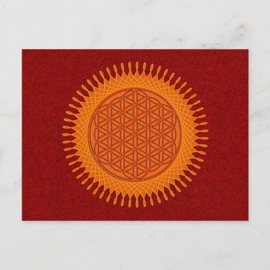 Blume von Live / sonniges Design Postkarte (Vorderseite)