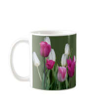 Blume von Lizzie white pink tulip