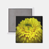 Blume von Logos Magnet (Vorderseite/Rückseite)