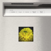 Blume von Logos Magnet (In Situ (Geschirrspüler))