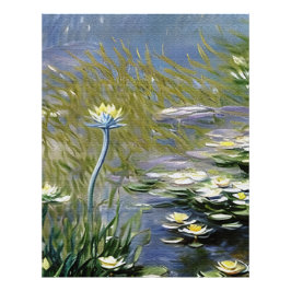 Blume von Lush Agapanthus in Giverny Fotodruck