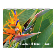 Blume von Maui Hawaii