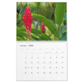 Blume von Maui Hawaii Kalender (Jan 2026)