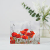 Blume von Mohn in einem Feld. Postkarte (Stehend Vorderseite)