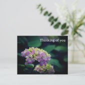 Blume von Pink und White Hydrangea Postkarte (Stehend Vorderseite)