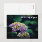 Blume von Pink und White Hydrangea Postkarte (Vorne/Hinten)