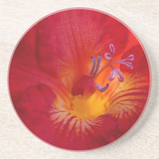 Blume von Red Freesia Getränkeuntersetzer (Vorne)