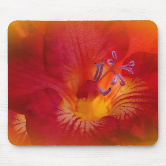 Blume von Red Freesia Mousepad (Vorne)