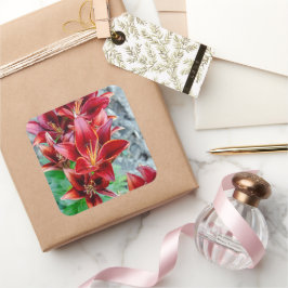 Blume von Red Stargazer Lily, kanadische Fotografi Quadratischer Aufkleber