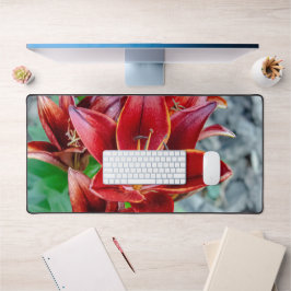 Blume von Red Stargazer Lily, kanadische Fotografi Schreibtischunterlage