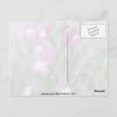Blume von Rosa Toadflax (Linaria Maroccana) Postkarte (Rückseite)