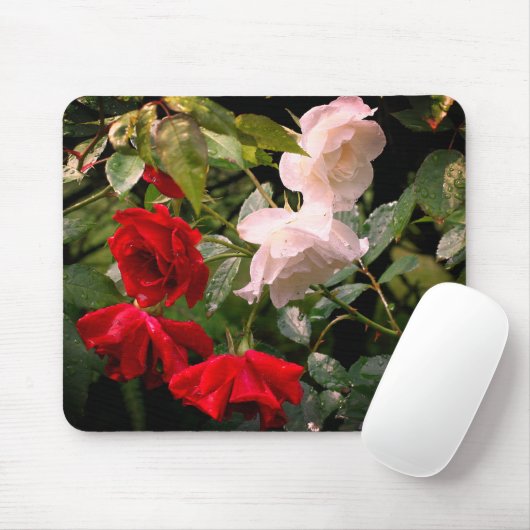 Blume von Rose Mousepad (Mit Mouse)