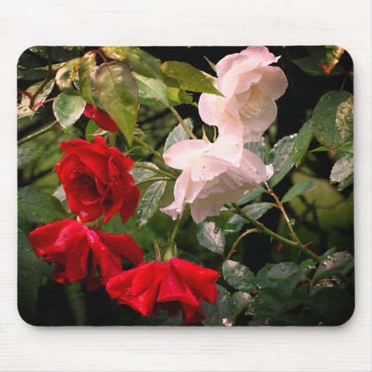 Blume von Rose Mousepad (Vorne)