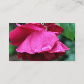 Blume von rote Rosen Visitenkarte (Rückseite)